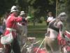 Friesians Under the Gun