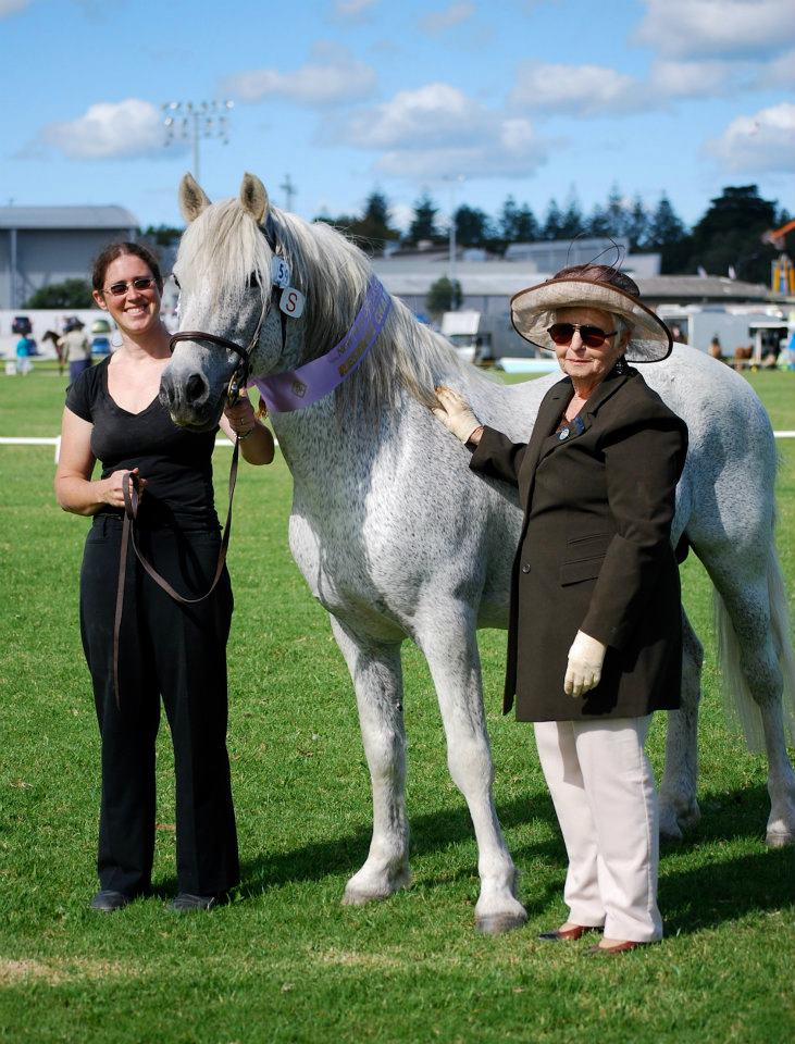 paddy easter show 2012 c.jpg