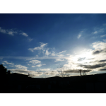 Gallery: Christchurch